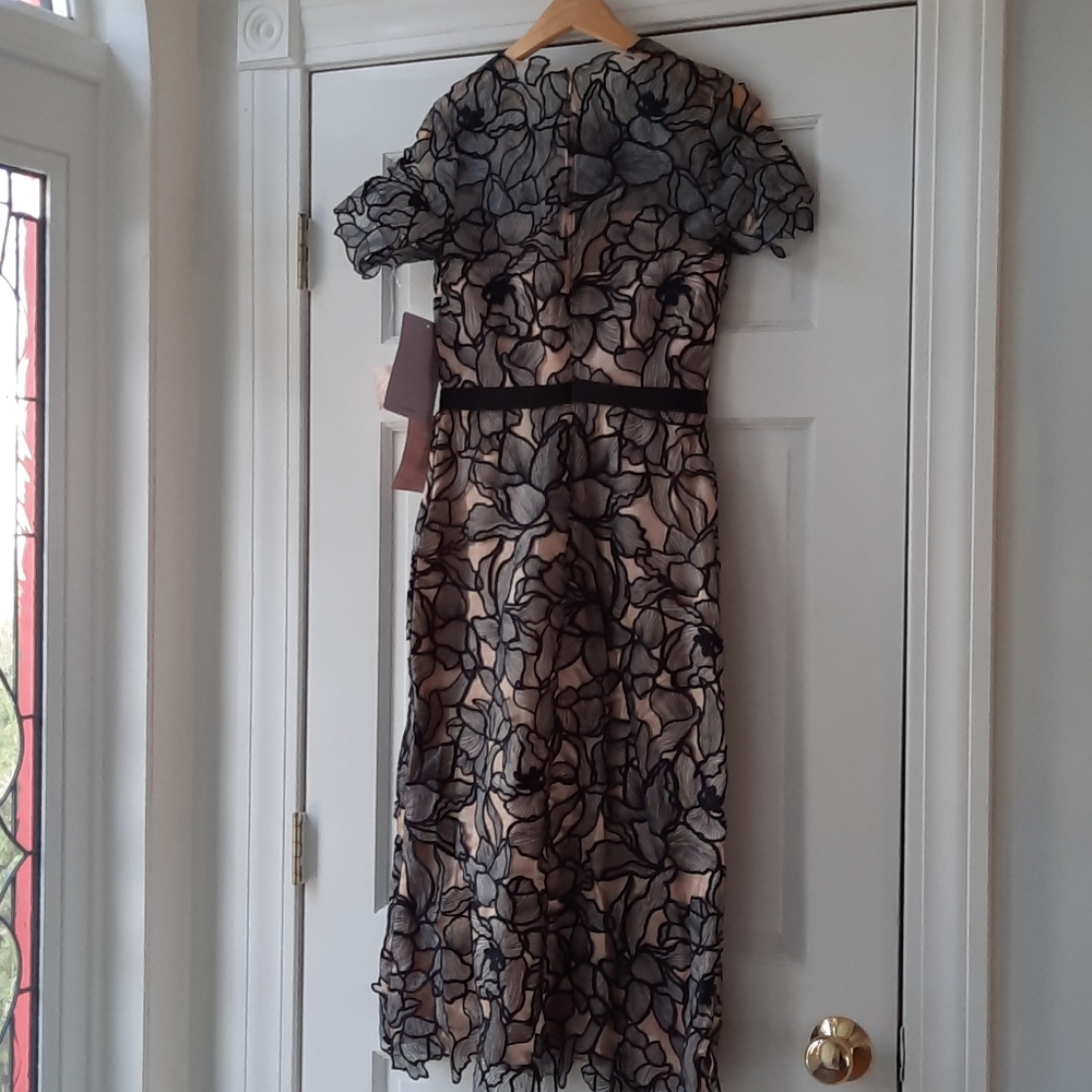 JS Collections Souctach Lace Midi Dress - Picture 10 of 10
